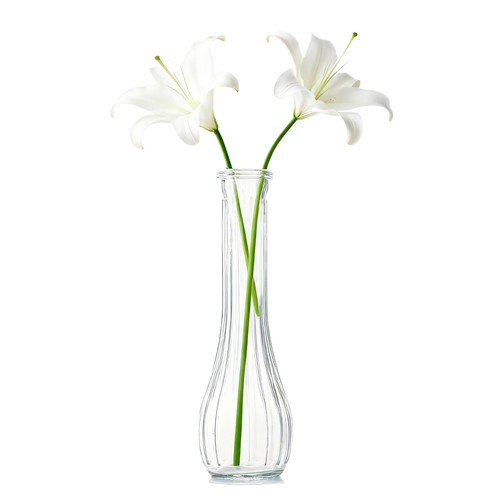 7cm inch tall - 21.7cm/8.5,